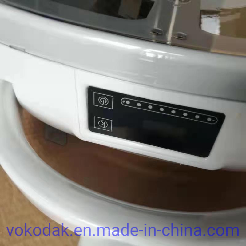 Dental Chair Spare Partsled Lamp Dental Chair Oral Lamp