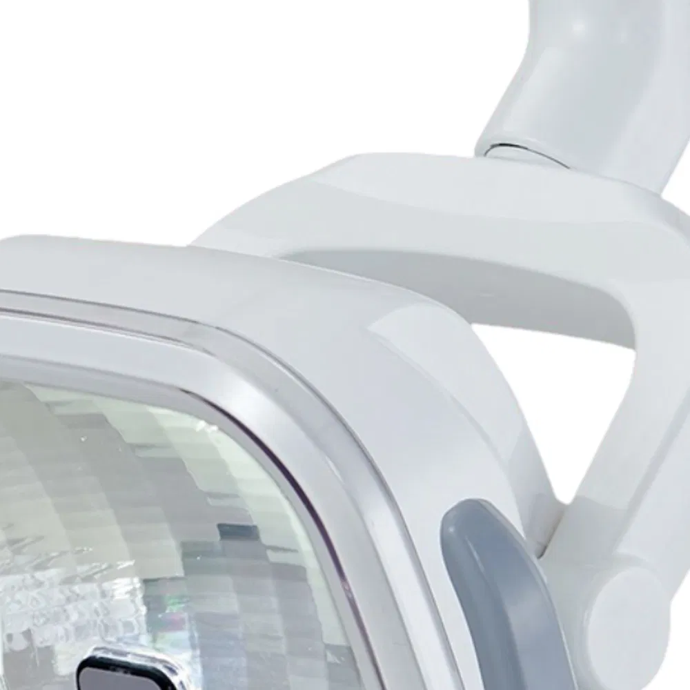 Dental Oral Operation Double Color Temperature Lamp with 2 PCS LED Bulbs Light 2 LED Bulbs Operating LED Light