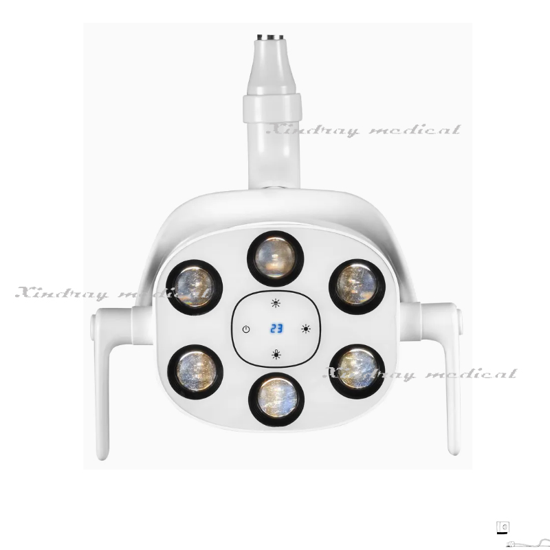 Top Quality Dental 6 LED Oral Light Operating Lamp for Dental Chair with Wholesale Price