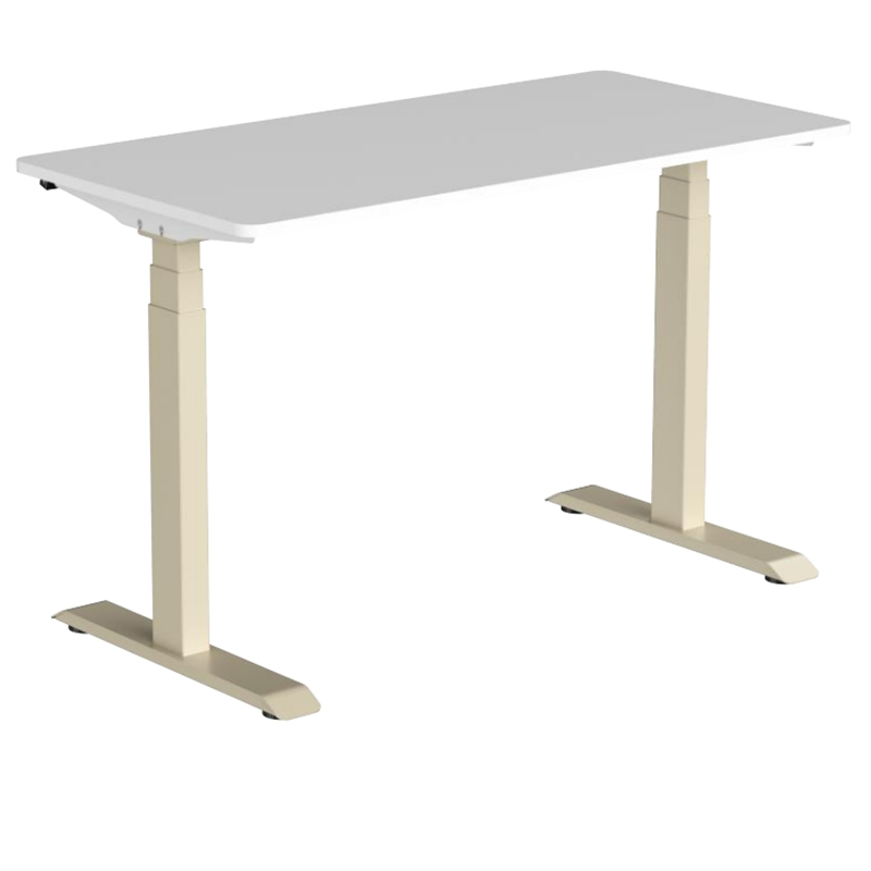 Quick Assemble Dual Motor Standing Desk Frame-Office&Home