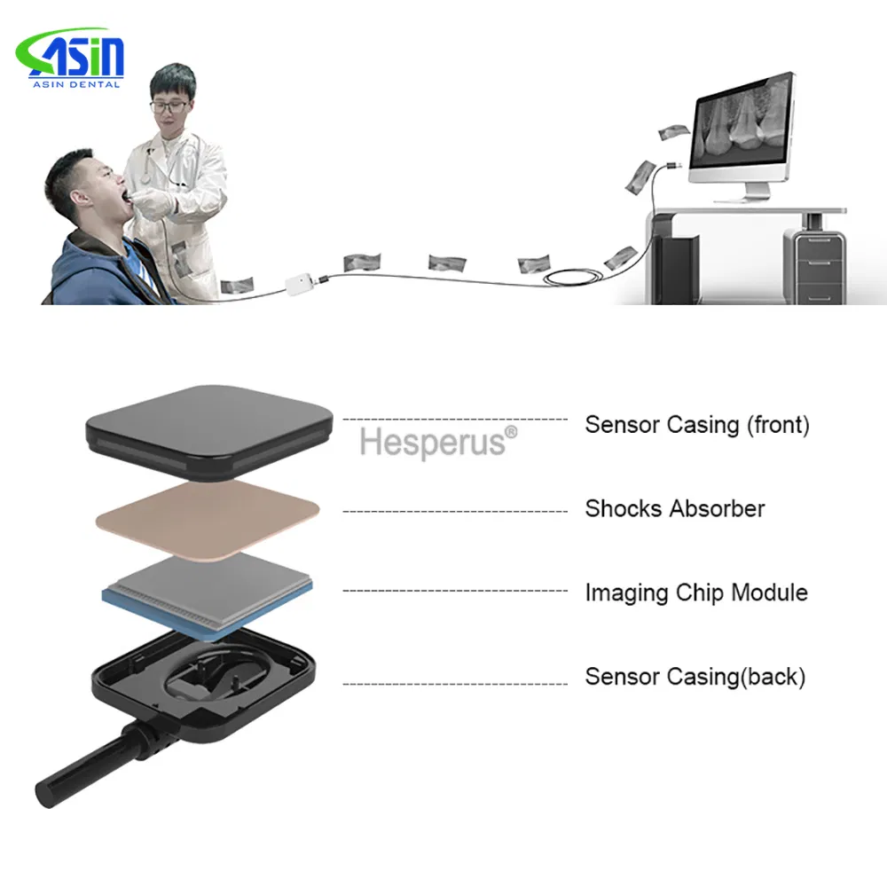 Dental Dynimage Sensor X-ray Sensor Digital Intraoral System