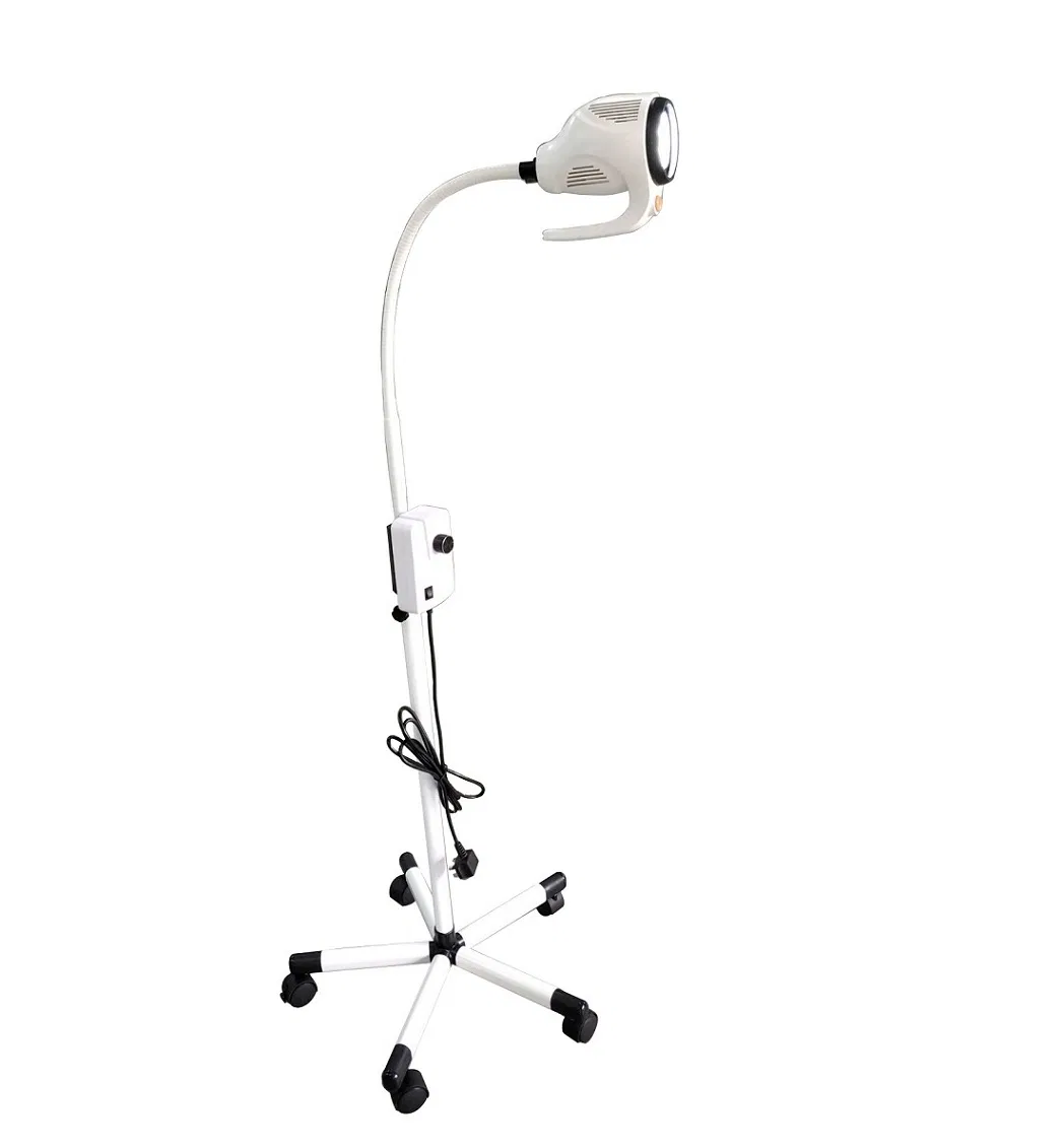 Veterinary LED Examination Light Surgical Shadowless Exam Lamp Price Surgical Operating Light for Dental Clinic Pet
