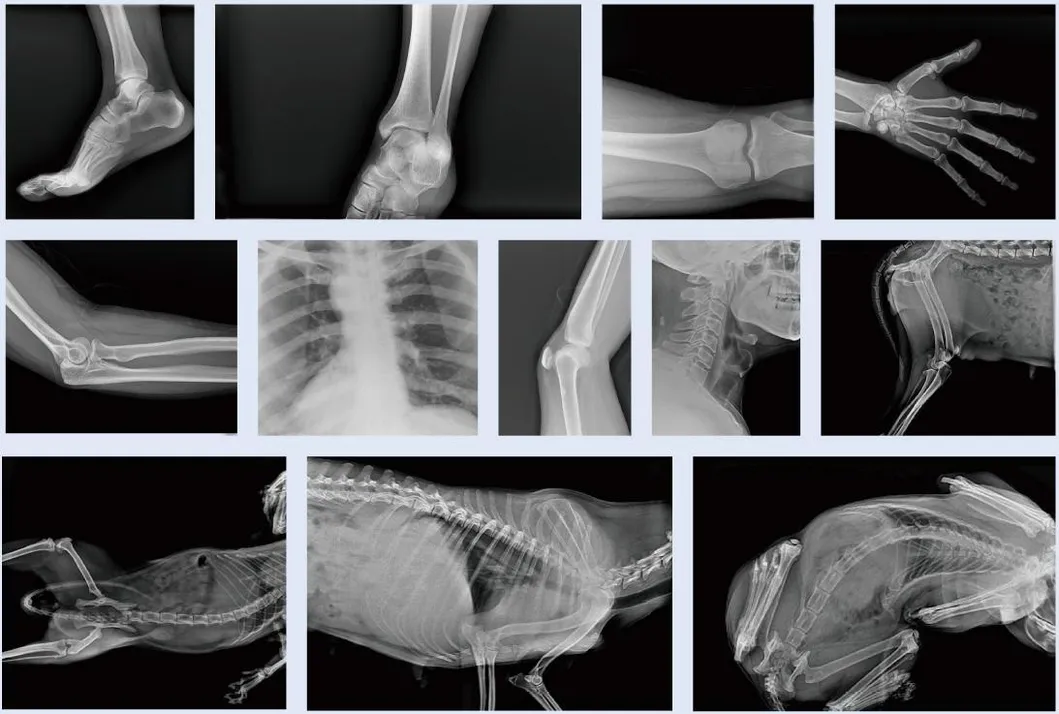 Application Scenario