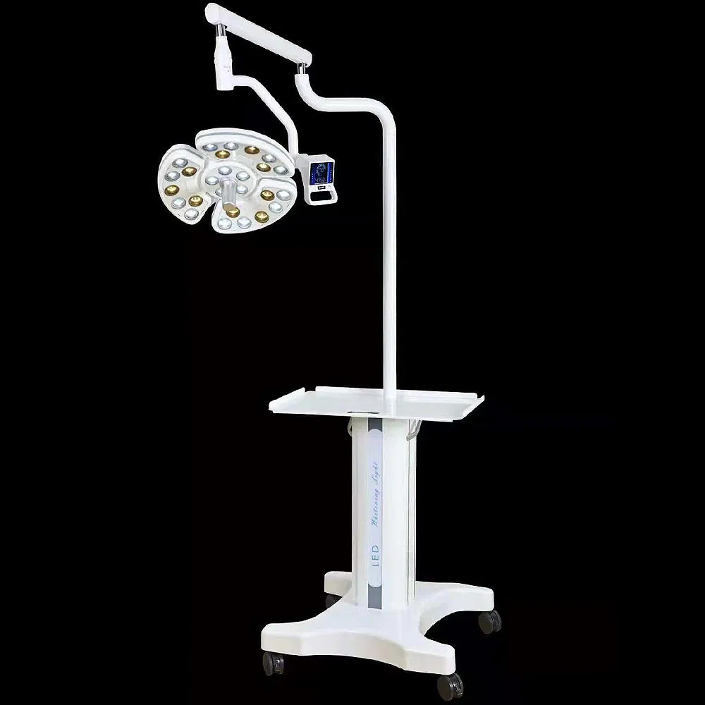 Dental LED Lamp 5
