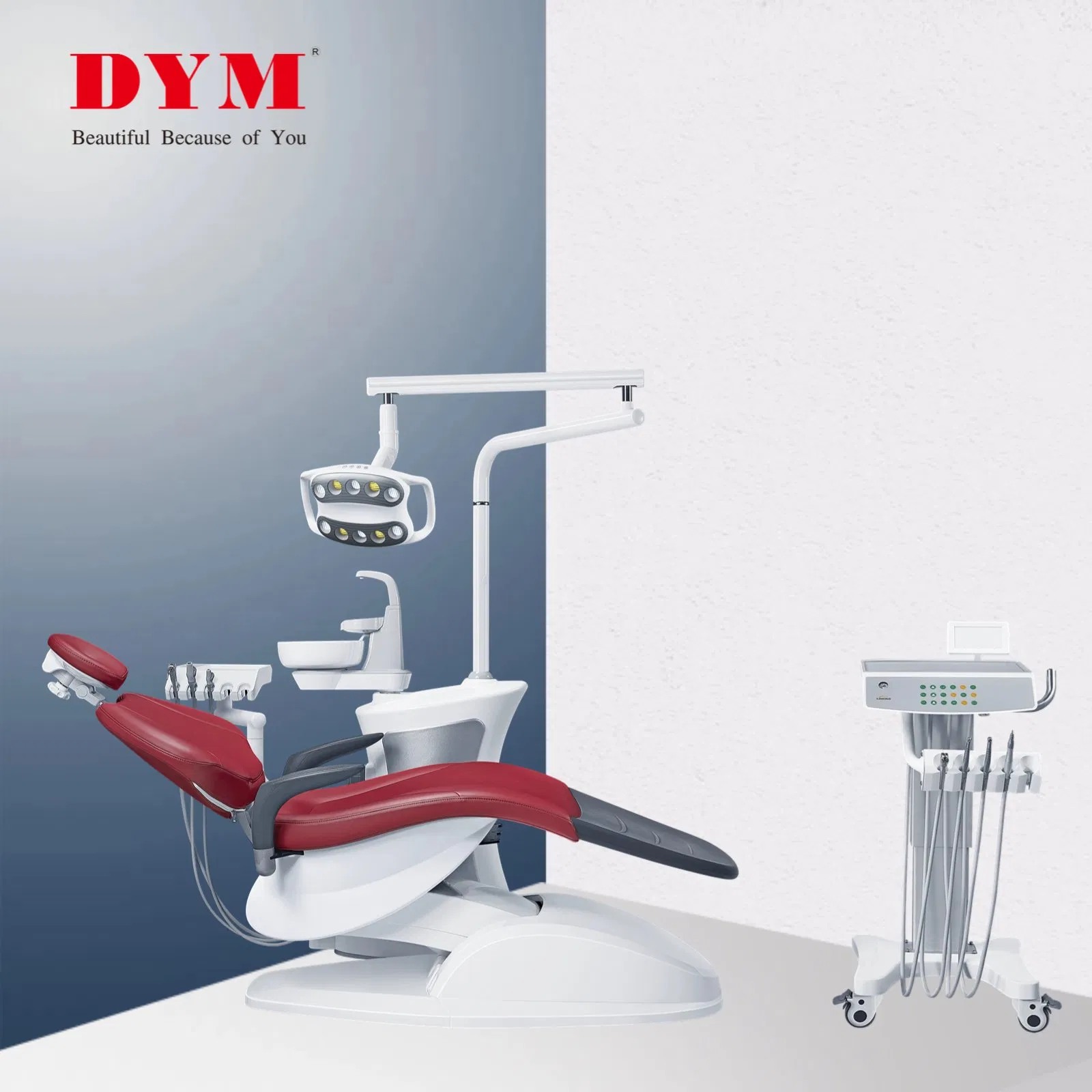 Intelligent Dental Unit: Touchscreen &amp; Programmable Position Memory