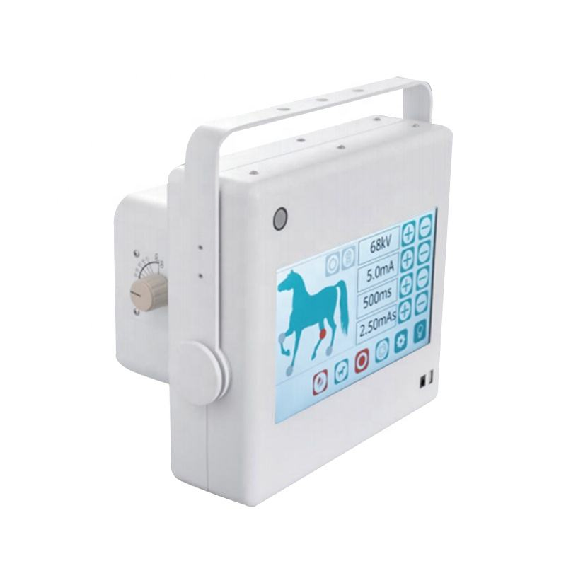 Digital Handheld X-ray Radiography System for Veterinary Horse Leg Imaging