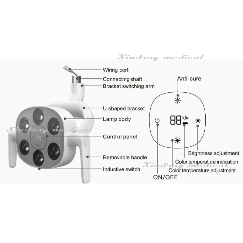 Top Quality Dental 6 LED Oral Light Operating Lamp for Dental Chair with Wholesale Price