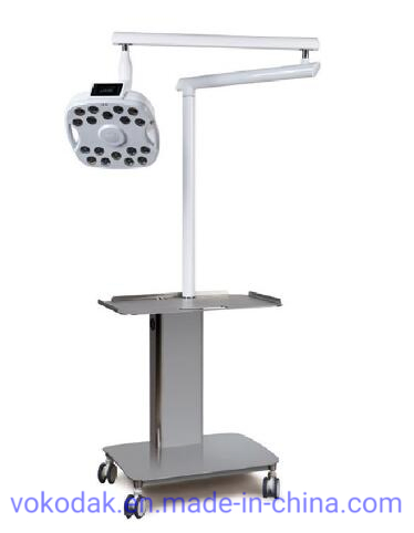 Dental LED Lamp Dental Implant Surgical Light Lamp 18 LED