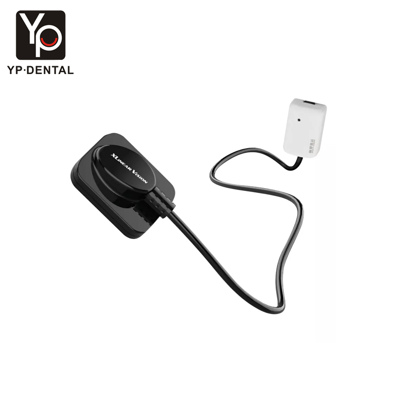 Cheap Price Dental Intraoral Digital X Ray Sensor for Dental Equipment