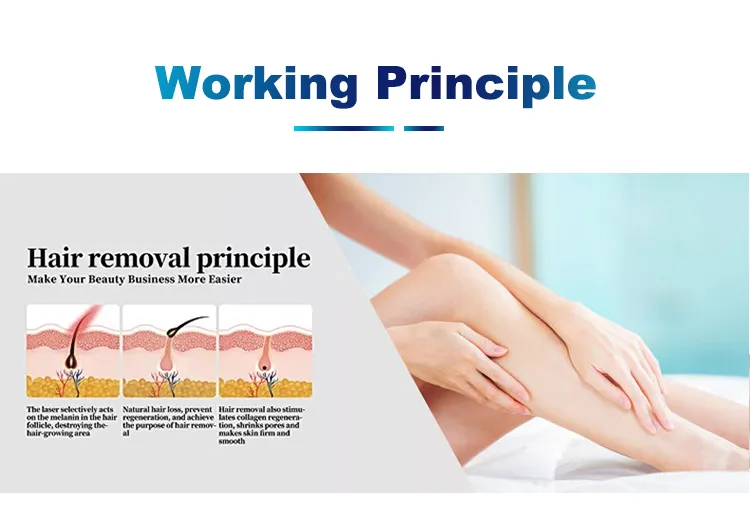 أحدث تقنية عمودية بتقنية E-Light IPL لإزالة الشعر إزالة الشعر تجديد البشرة بتقنية IPL Depilator معدات صالون التجميل