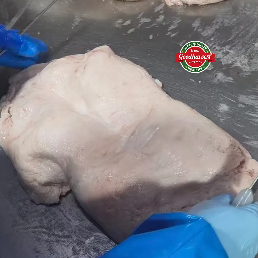 تقنية تجميد احترافية لدهون ذيل الحمل الخالص ورقابة جودة صارمة