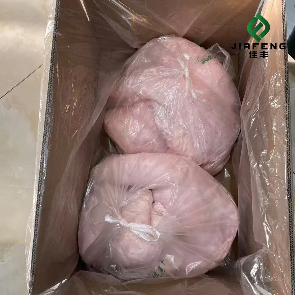دهون ذيل الأغنام المجمدة الحلال، جودة ممتازة، تعبئة بالجملة لدهون ذيل الحمل