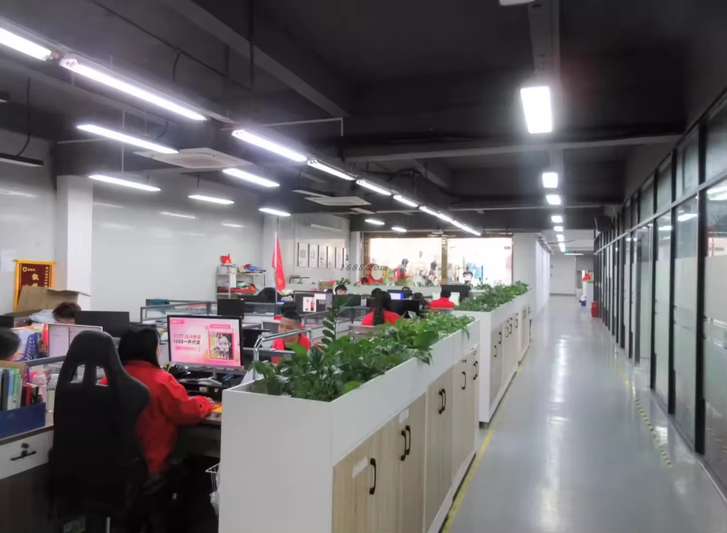 Company Overview 4