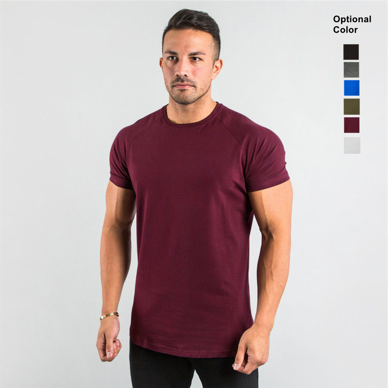 High Quality 95%Cotton 5% Spandex Custom Private Logo Workout Wear Gym Clothing Fitness Apparel Plain Blank Men T Shirts