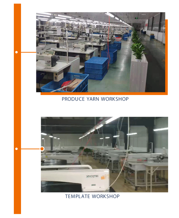 Company Overview 5