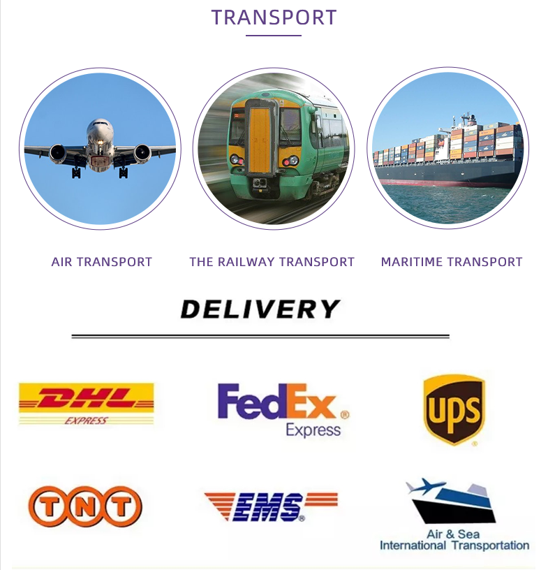 Shipping Logistics