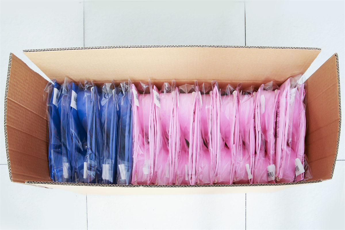 Packaging Box Option 2