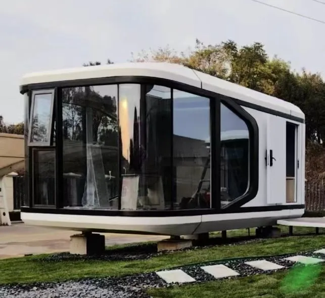Customized Apple Cabin Interior View