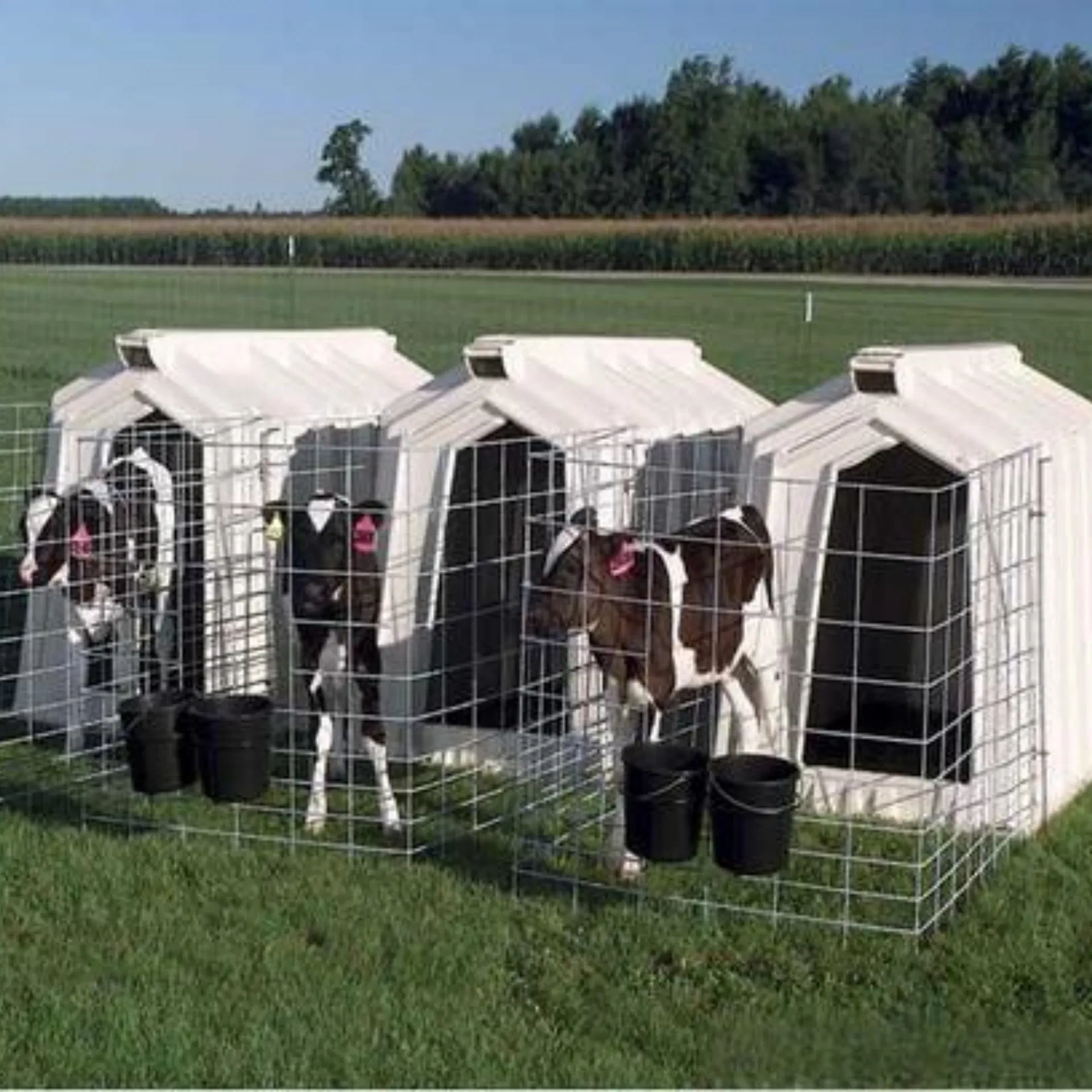 حرفية صينية عالية الجودة