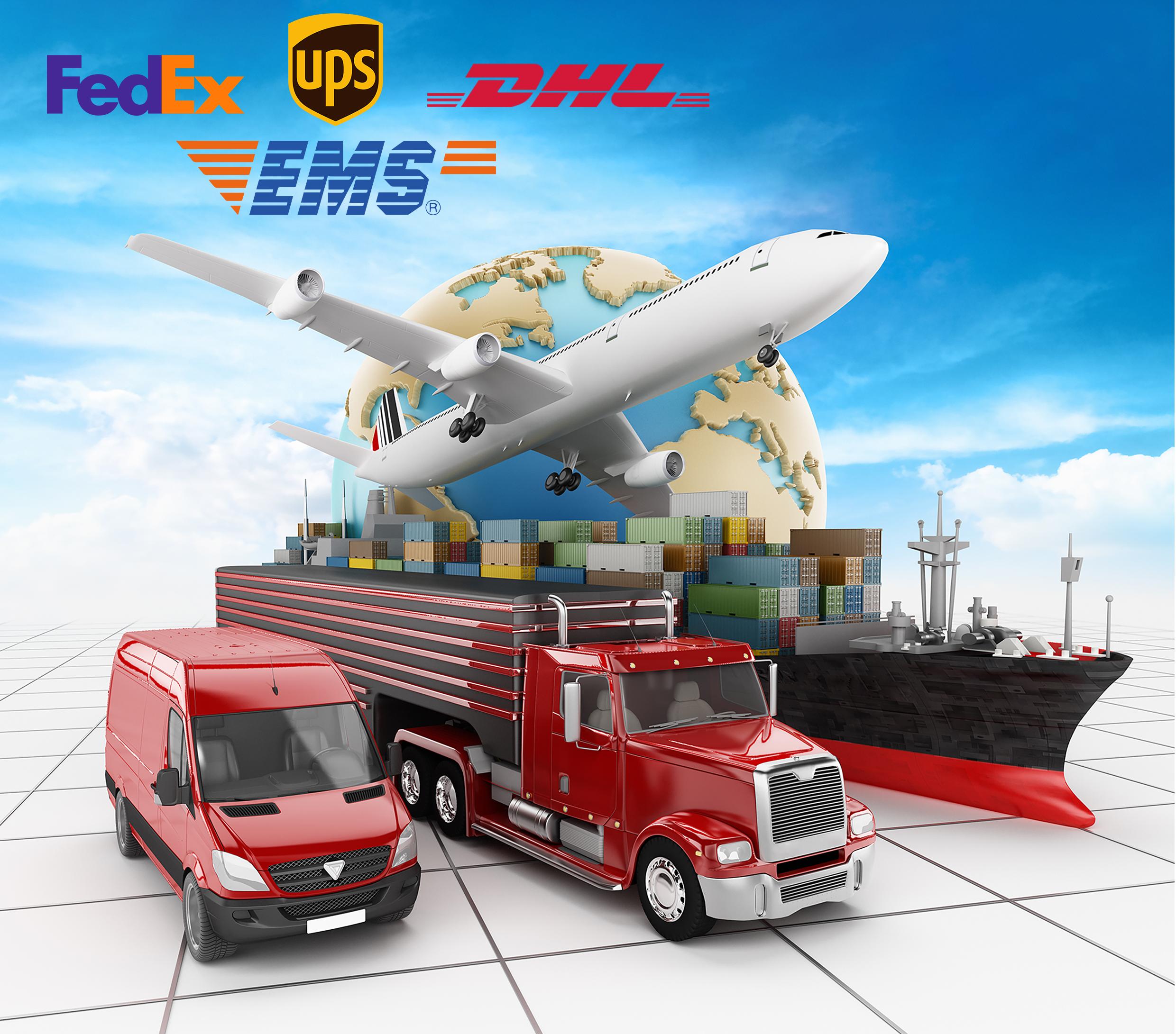 Delivery Logistic Options