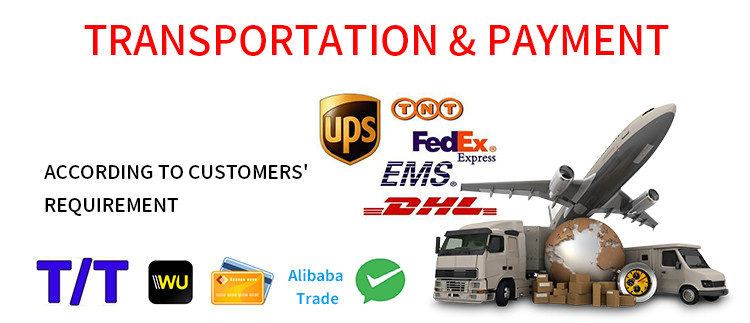 Delivery & Shipping Methods