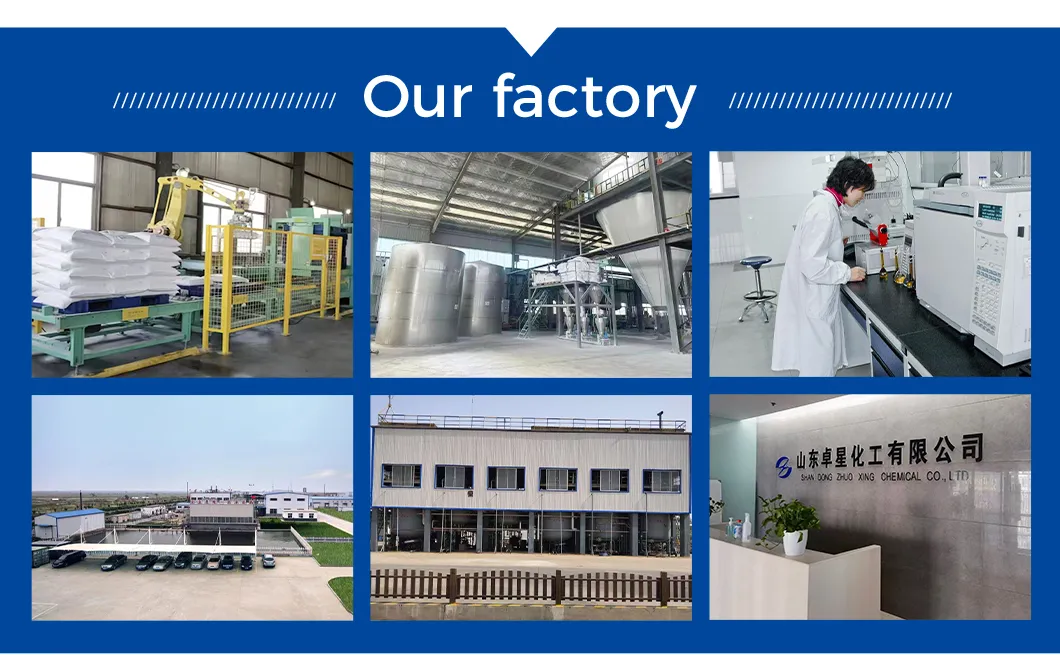 Sps-21 Polycarboxylate Superplasticizer Powder Excellent Slump Retention Water Reducing Admixture