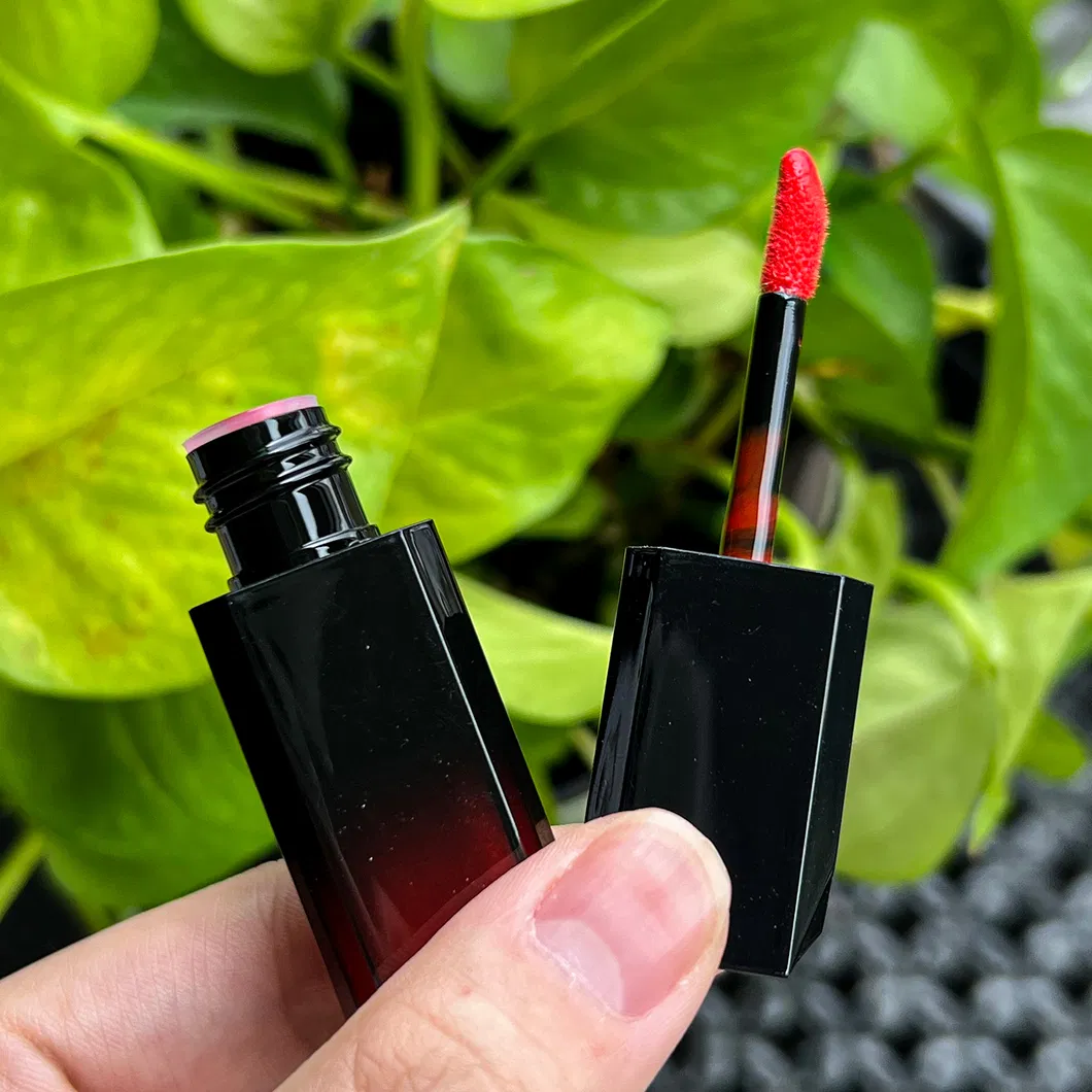 Hot Sale Factory OEM/ODM Lip Plumper Cosmetics Private Label Lip Gloss