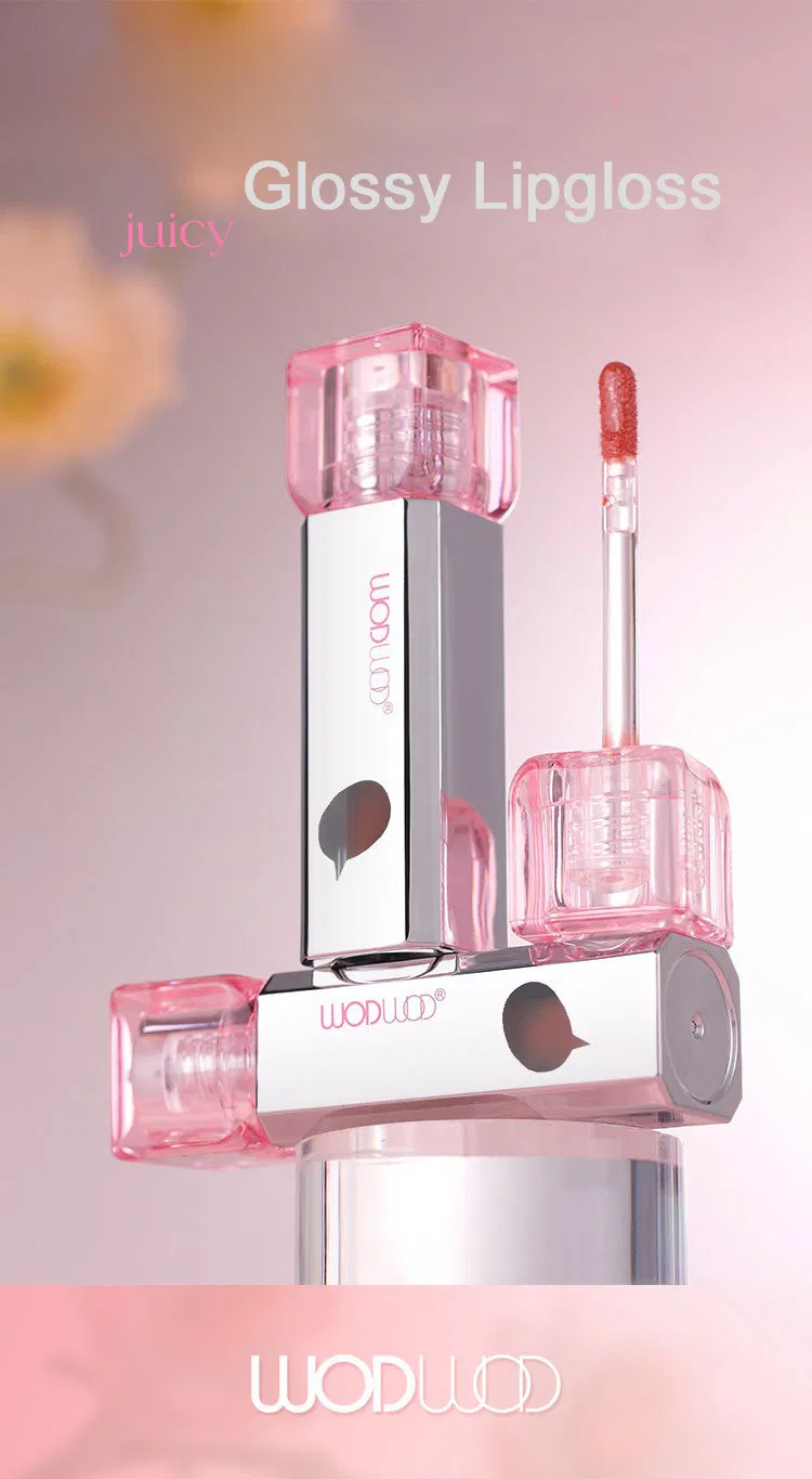 Custom Makeup Lip Glaze Mist Velvet Matte Lip Gloss Manufacturer