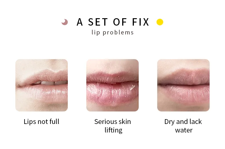 Online Wholesale in Stock Natural Ginger Mint Lip Balm Set Organic Vegan Ginger Mint Lip Plumper Kit Capsule Lips Maximizer Ginger Mint Lip Gloss Plumper