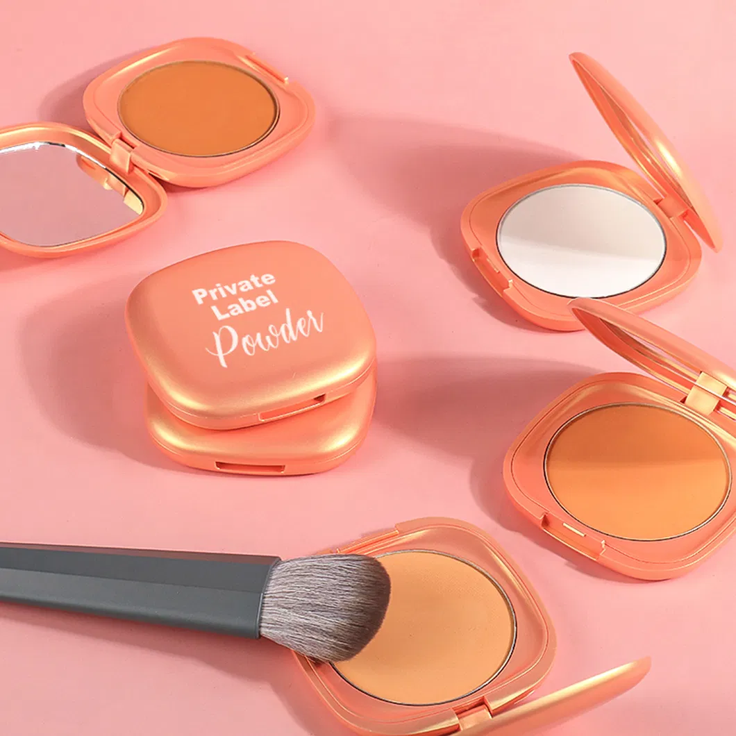 Wholesale Makeup Gift Private Label Waterproof Vegan No Logo Setting Pressed Powder