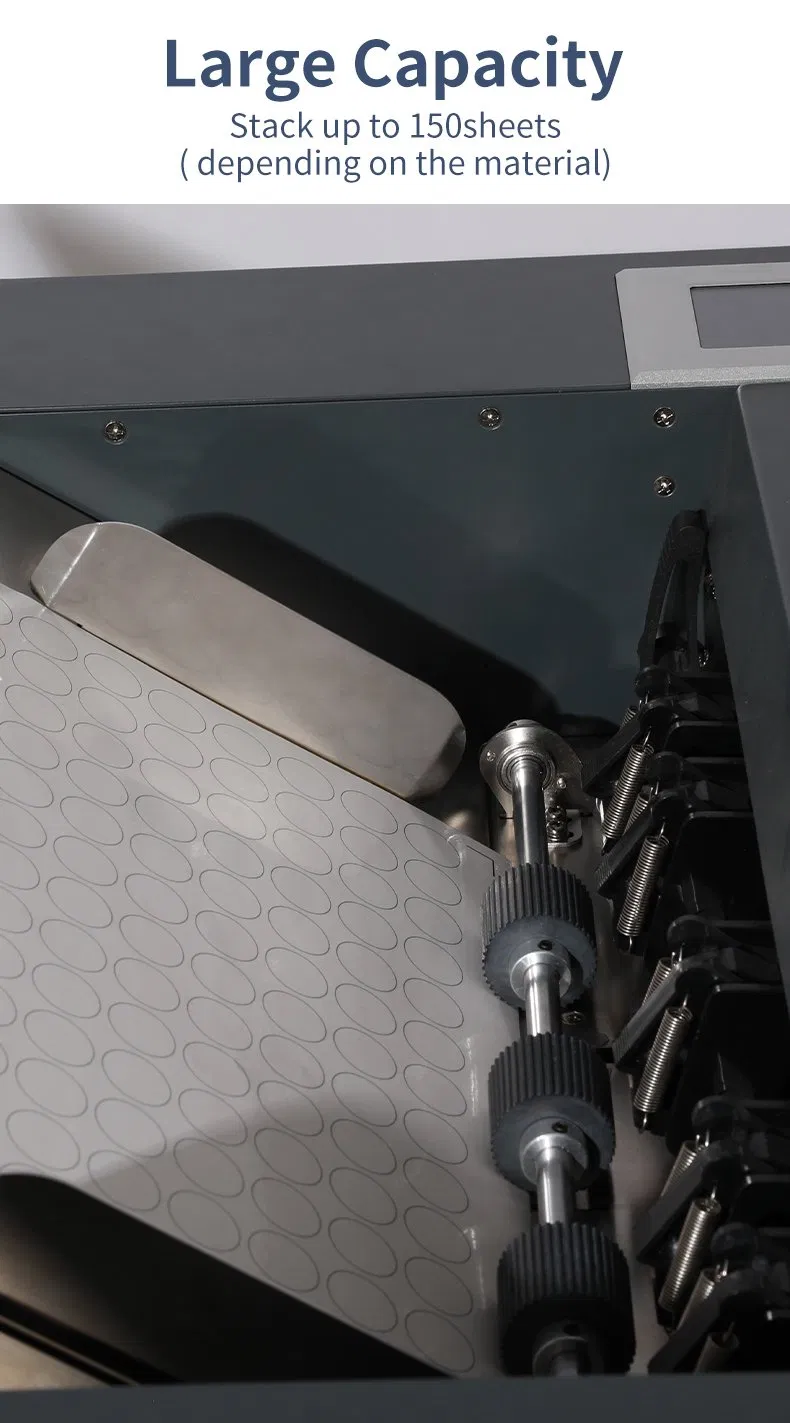 Auto-Feeding Die Cutting Creasing Machine Operation