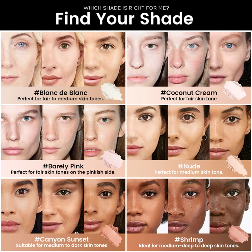 Factory Price Long-Lasting Setting Powder for Face Free Sample