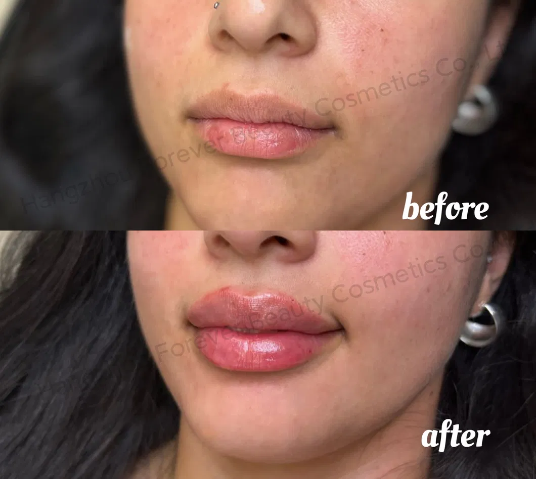 Private Label Vegan Hyaluronic Acid Iridescent Finish Long-Lasting Strong Sting Lip Plumper Gloss with ODM Service