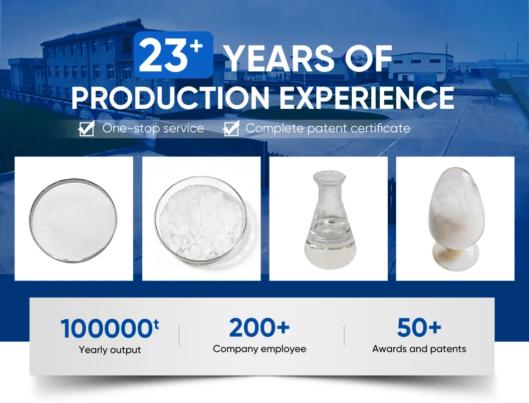 Sps-21 Polycarboxylate Superplasticizer Powder Excellent Slump Retention Water Reducing Admixture