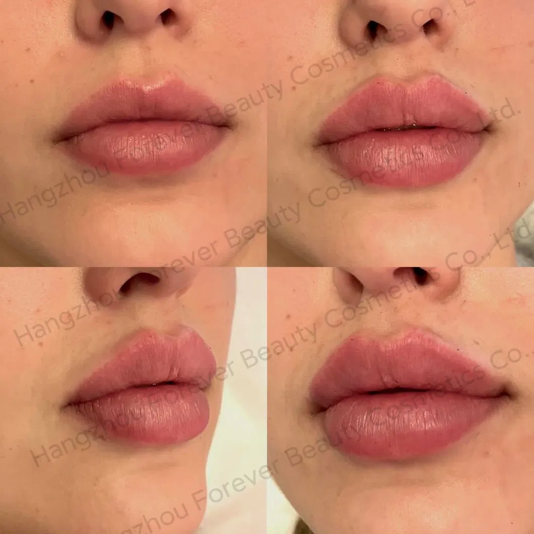 Private Label Vegan Hyaluronic Acid Iridescent Finish Long-Lasting Strong Sting Lip Plumper Gloss with ODM Service