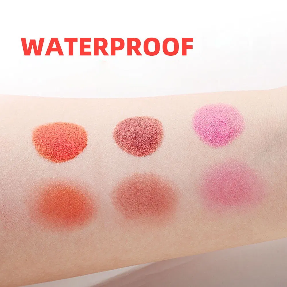 OEM Liquid Blush Trim Lasting Matte Eom Watercolor Makeup Lip Gloss 7ml