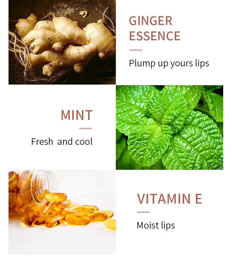 Online Wholesale in Stock Natural Ginger Mint Lip Balm Set Organic Vegan Ginger Mint Lip Plumper Kit Capsule Lips Maximizer Ginger Mint Lip Gloss Plumper