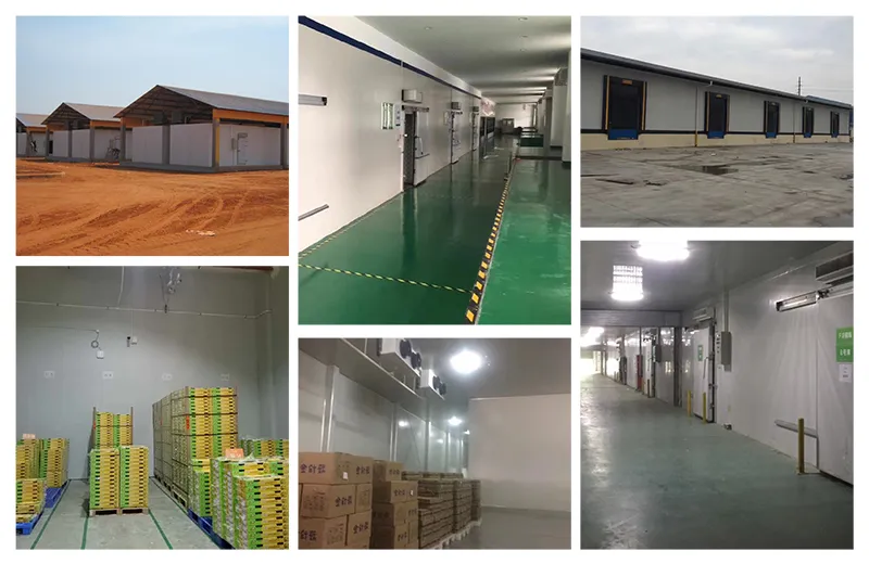 Cold Room Application