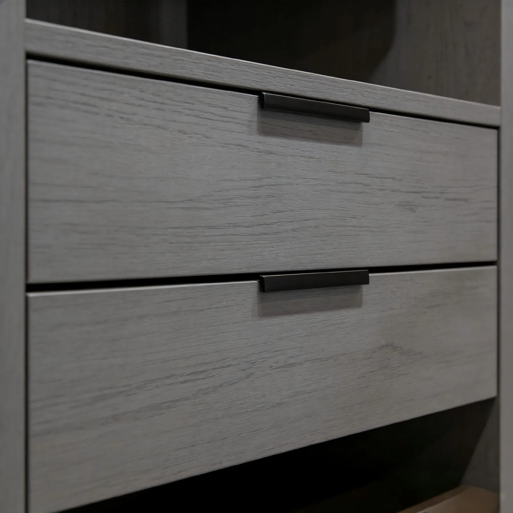 Modern Luxury Walk-in Closet System Designed for Designer Homes