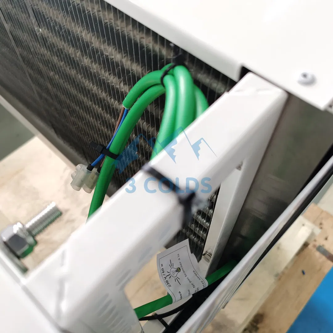 Wall Mounted Monoblock Unit for Cold Storage Room