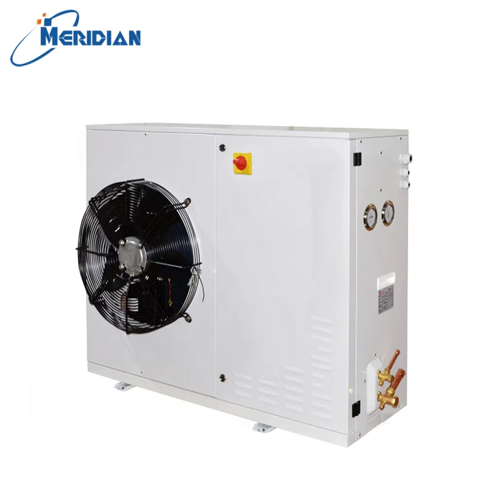 Outdoor Wall Split Condensing Unit Mobile Container Cold Room Walk-in Cold Storage Freezing Copper Tube R22 R404A 220V