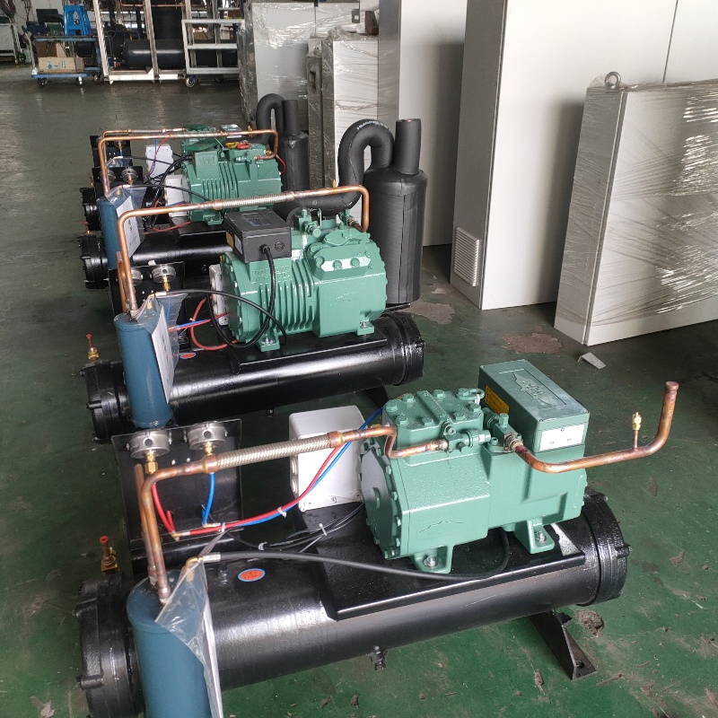 Customized Sizes Cold Storage Room Box Type Refrigeration Condensing Unit