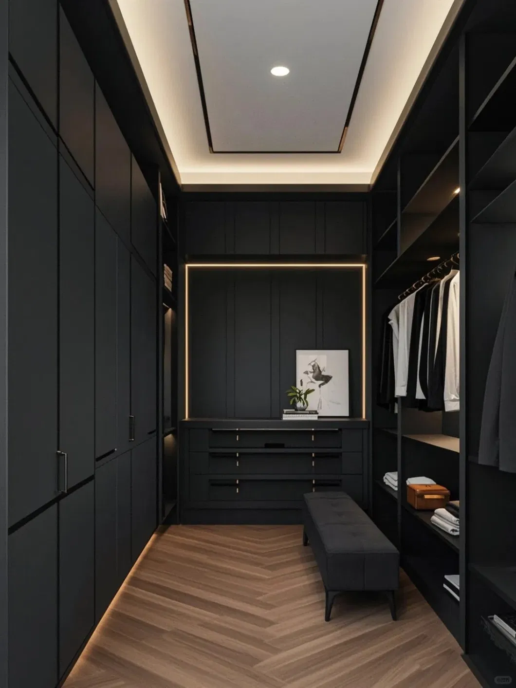 Walk-in Closet System 3