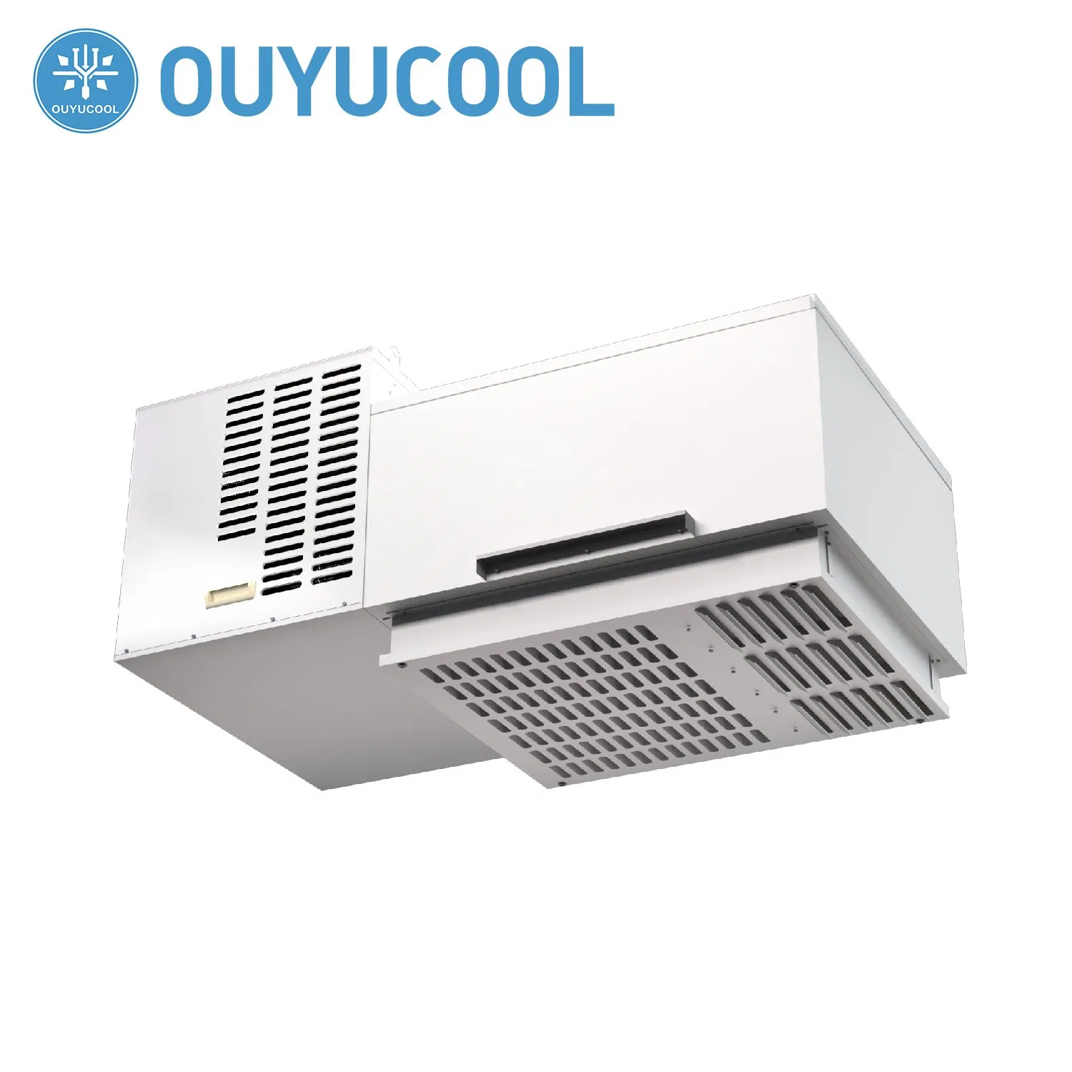 Wall Mounted Monoblock Condensing Unit for Cold Storage