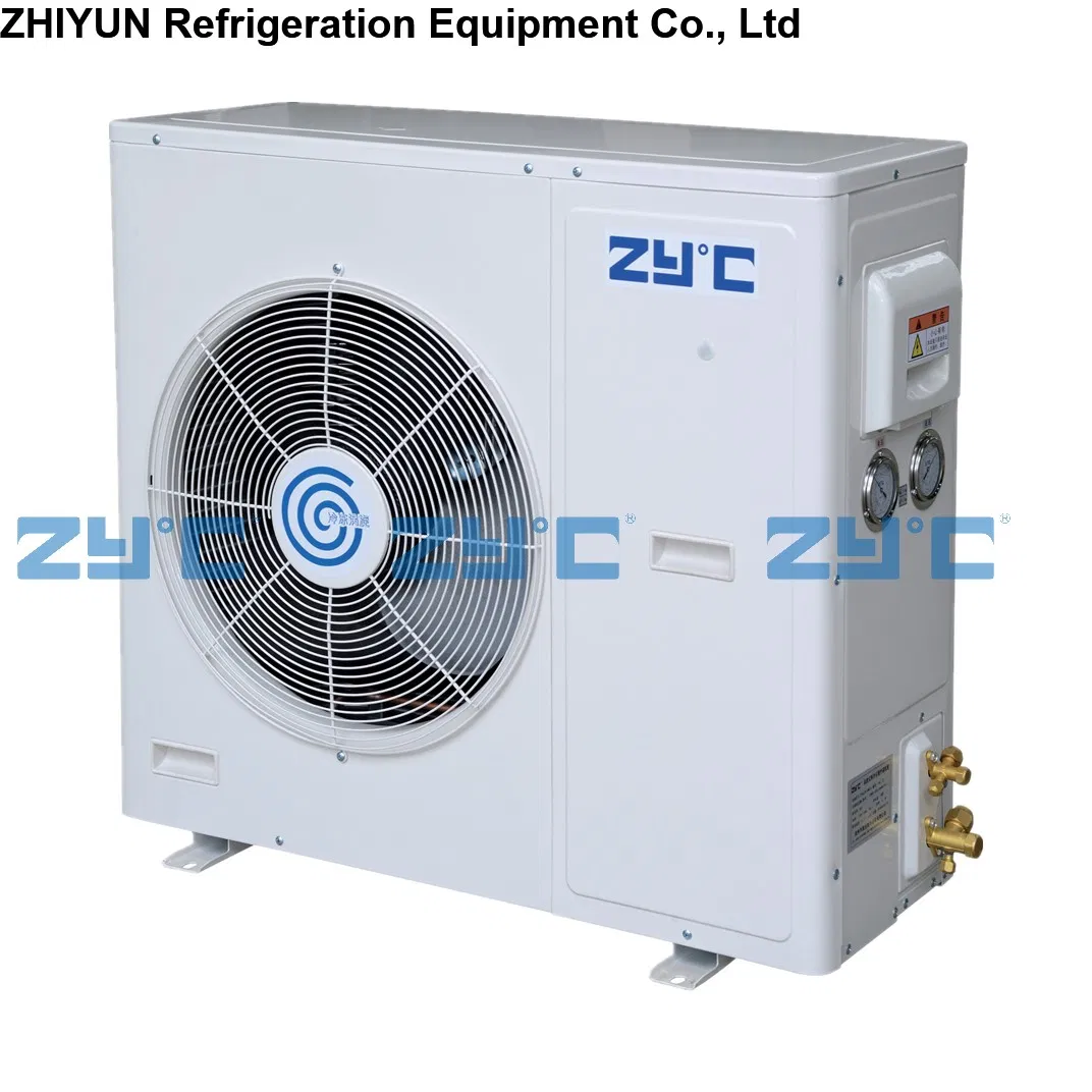 Wall-Mounted Fruit Vegetabe Meat Seafood Medicine Frozen Food Air Cooling Refrigeration Compressor Condensing Unit for Cold Storage Room