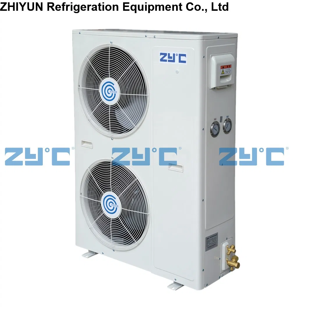 Wall-Mounted Fruit Vegetabe Meat Seafood Medicine Frozen Food Air Cooling Refrigeration Compressor Condensing Unit for Cold Storage Room