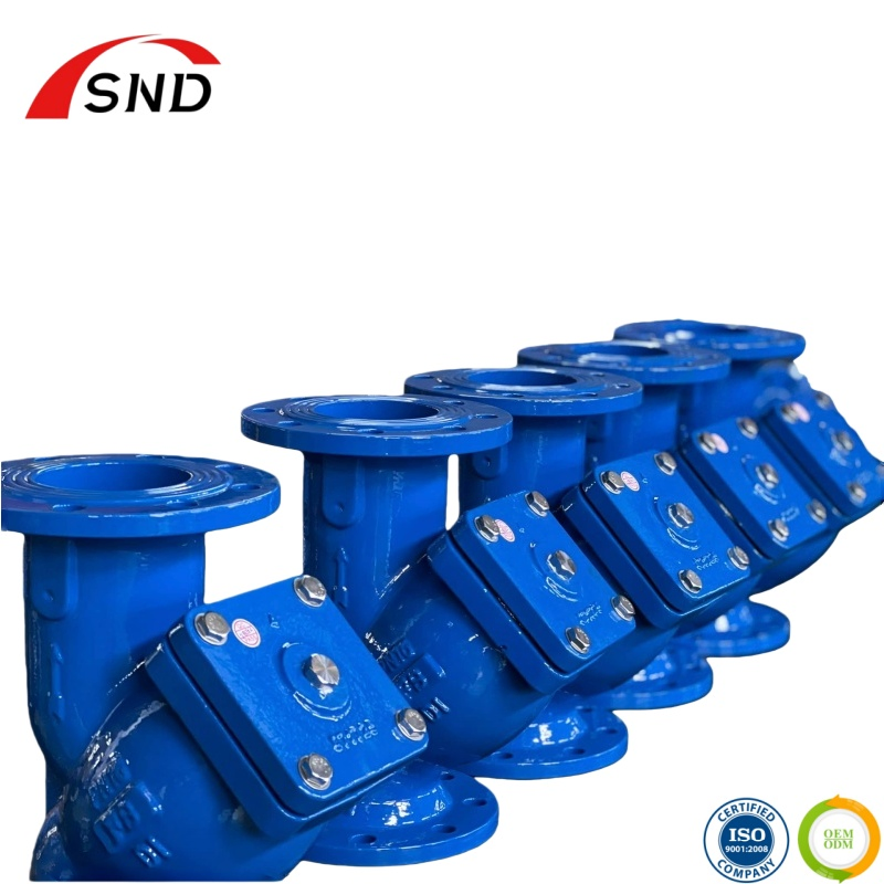 Versatile Y-Type Pipe Strainer for High-Pressure Water Systems