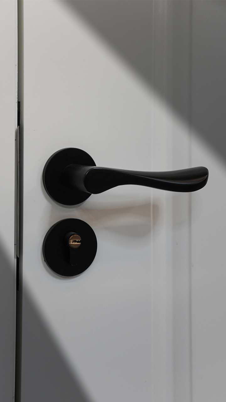 Contemporary Exterior Wooden Doors - 180° Smooth Pivot System Waterproof for Coastal Houses