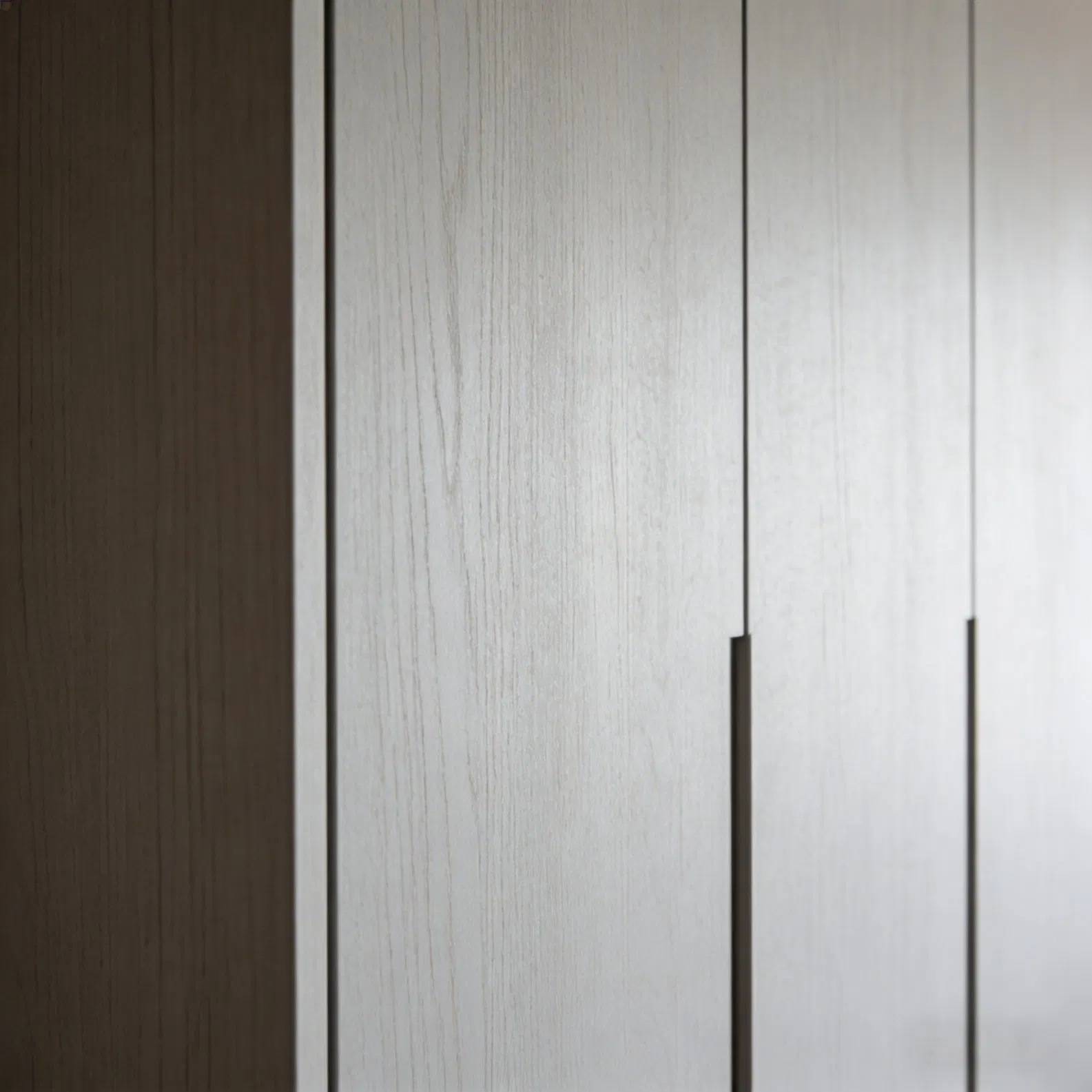 Modern European Wardrobe System for Residential Supply