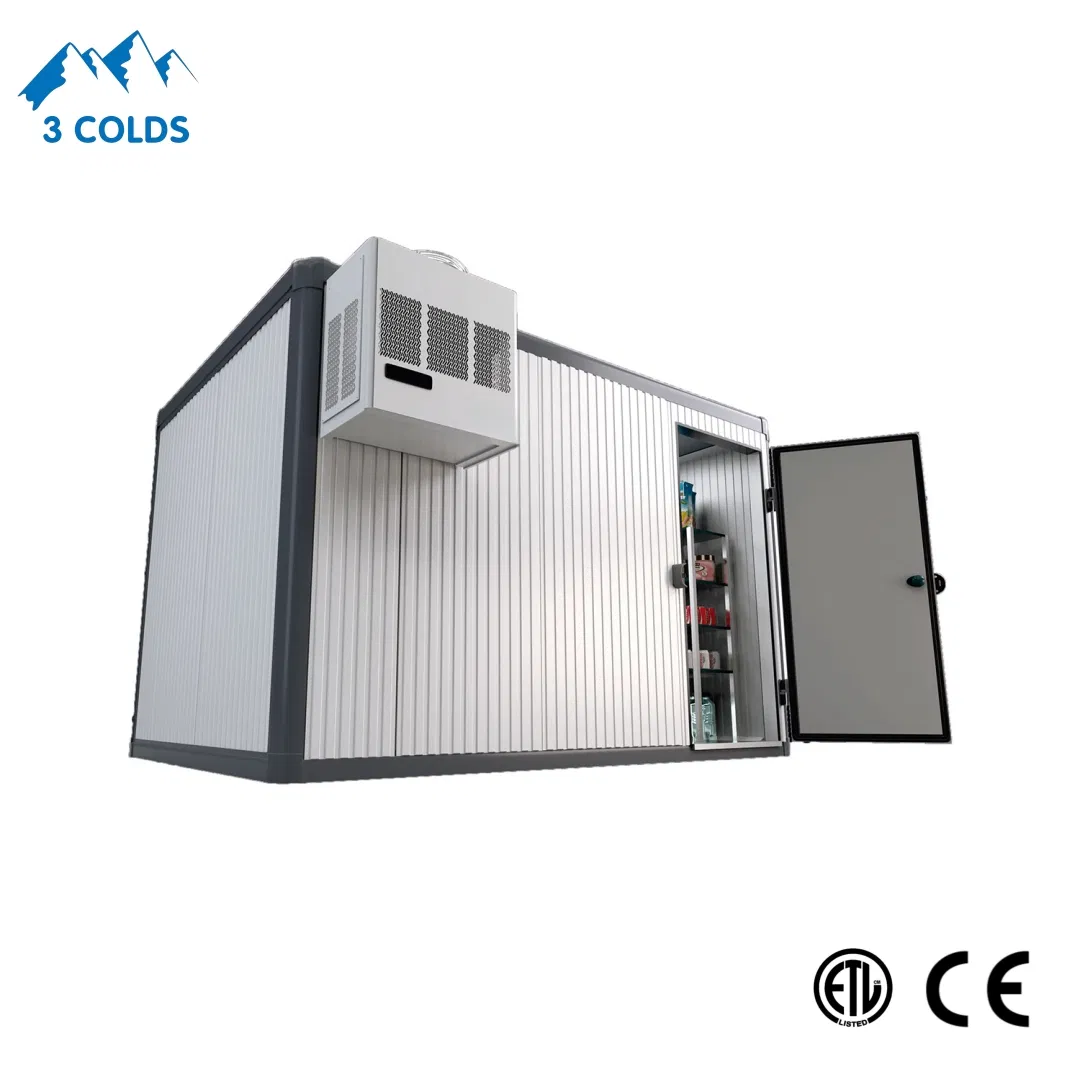 Wall Mounted Monoblock Unit for Cold Storage Room